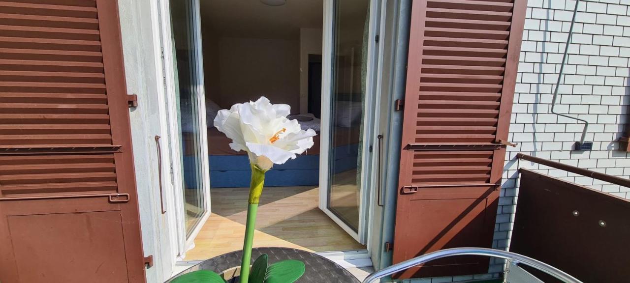 Edel Apartments Dulliken Exteriör bild